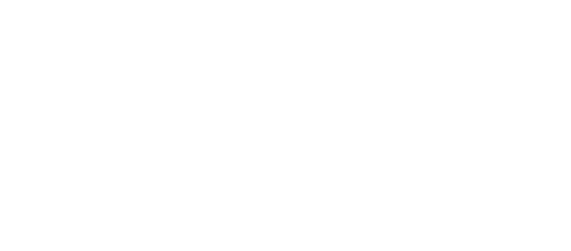 کاریزما سیستم